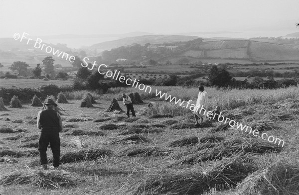 WITH THE BRENNANS OF SESKIN : EVENING SHADOW ON THE GLEANERS